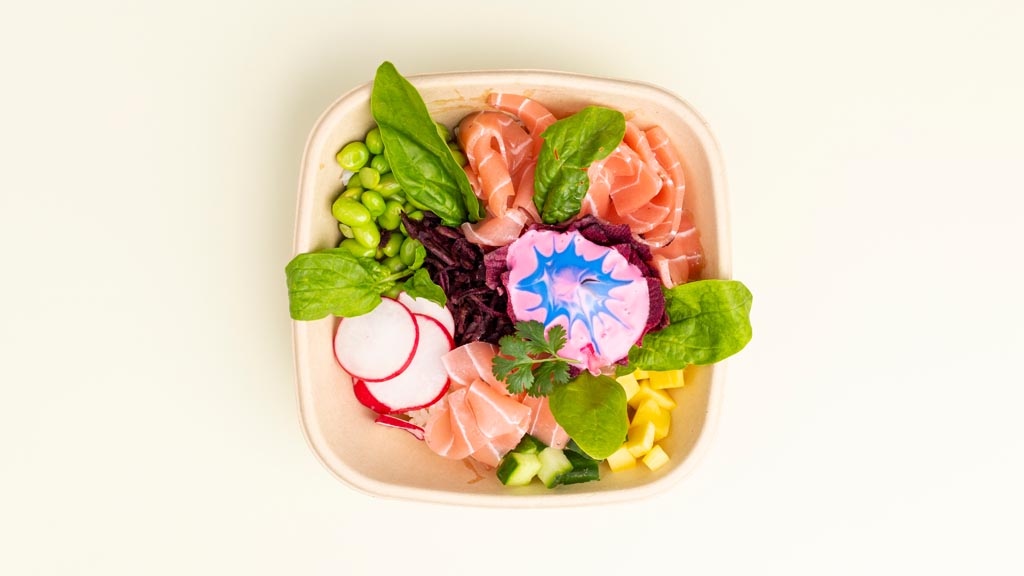Energy Sashimi NO - Tuna Bowl vegan MOJEWA Food Truck Catering