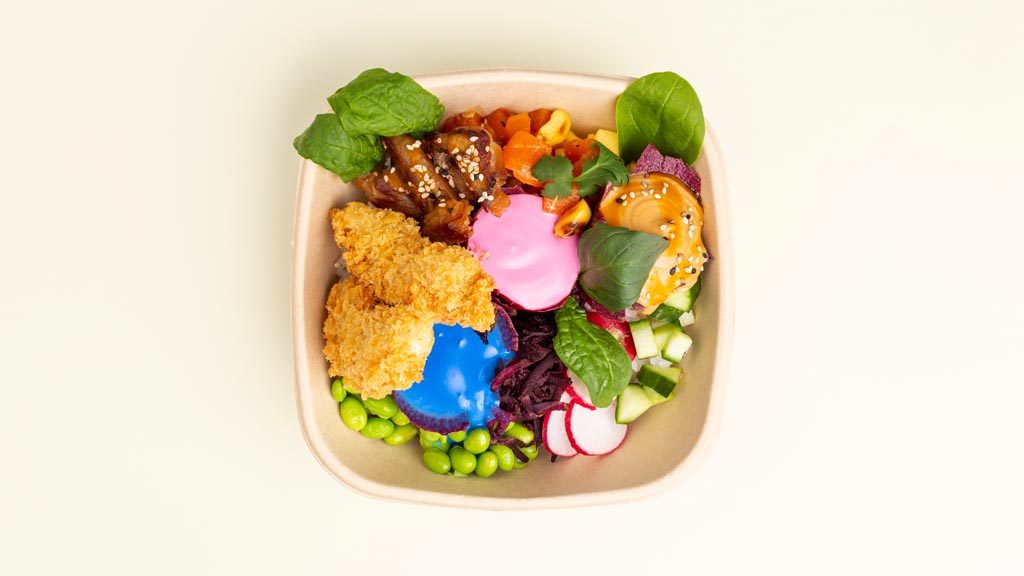 Rainbow Bowl vegan MOJEWA Food Truck Catering
