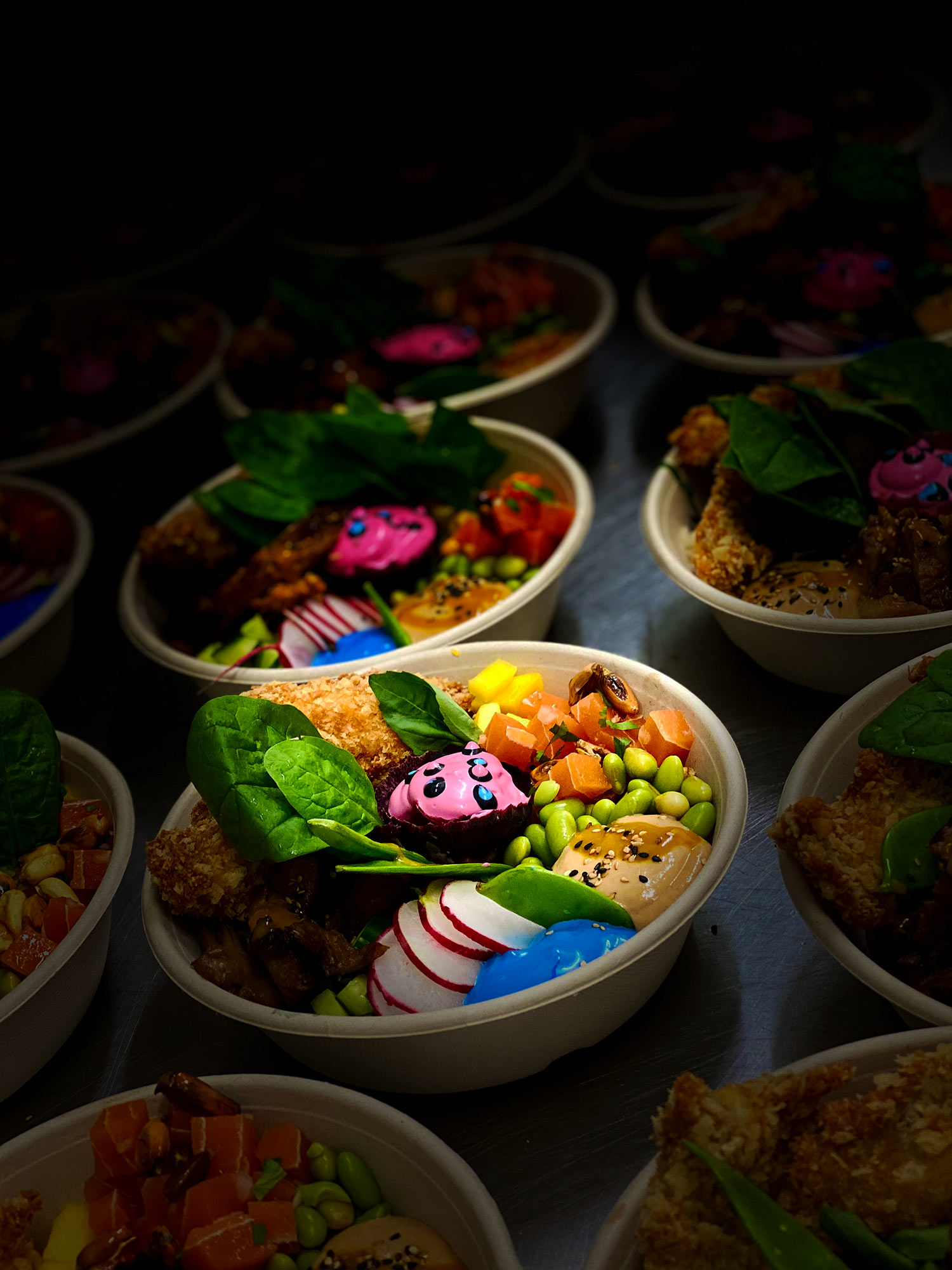 Veganes Bio Event Catering Rainbow Bowl MOJEWA Food Truck Catering