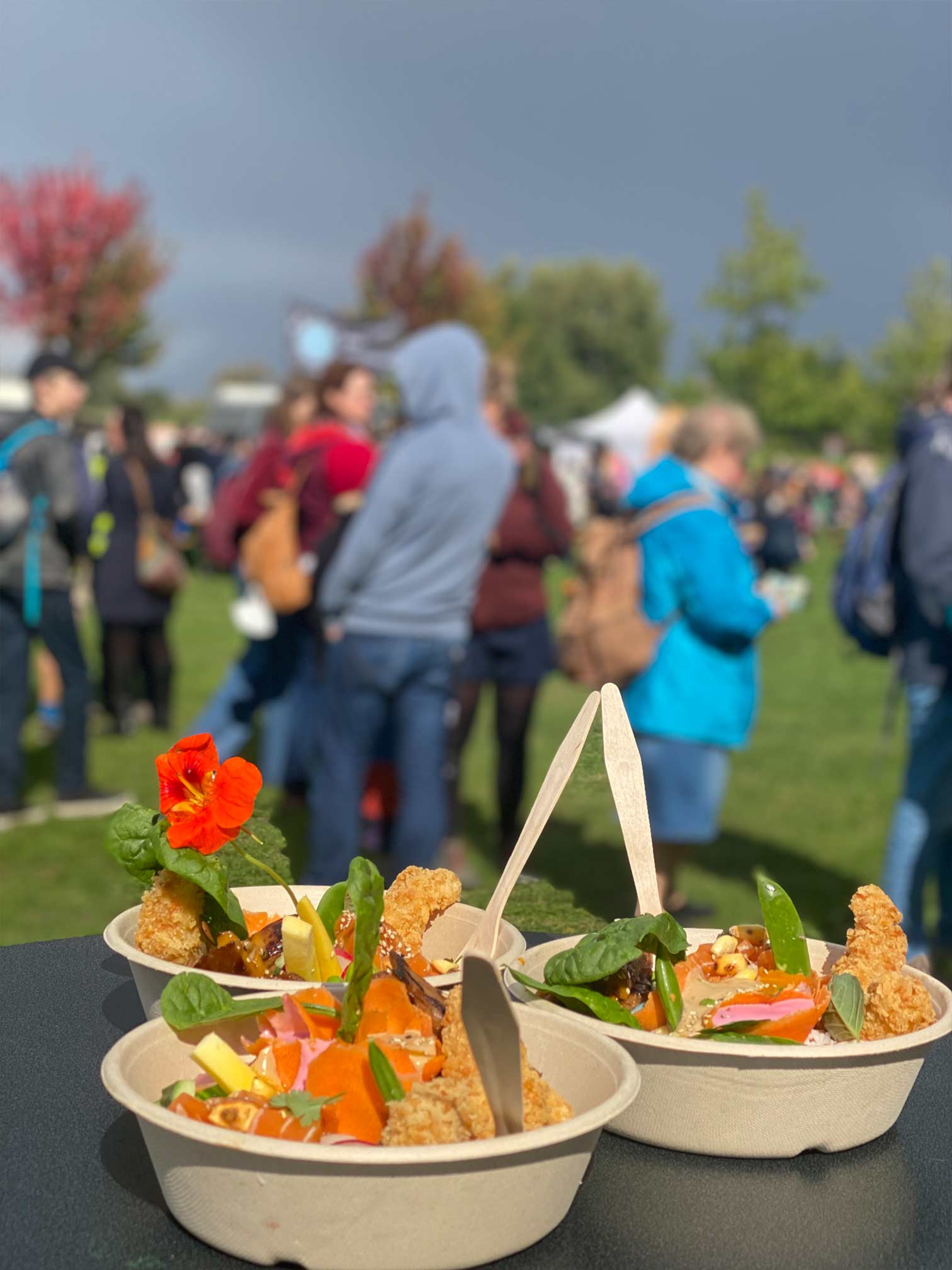 Potsdamer Umweltfest Vegane NO Salmon Ceviche Bowl 2022 MOJEWA Food Truck Catering