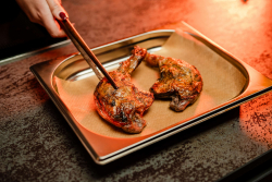 weihnachtsmenue-ente-1-250×250-0